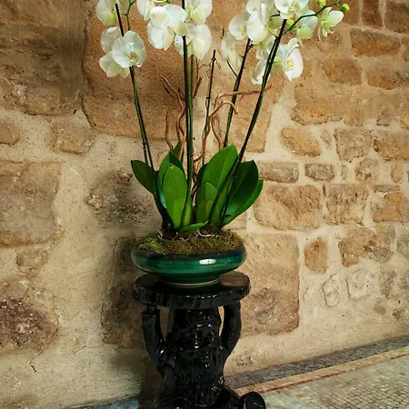 Le Clos De Notre Dame