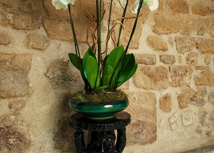 Le Clos De Notre Dame